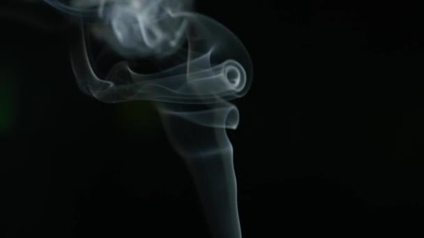 Weißer Rauch Von Räucherstäbchen Fließt Auf Schwarzem Hintergrund — Stockvideo