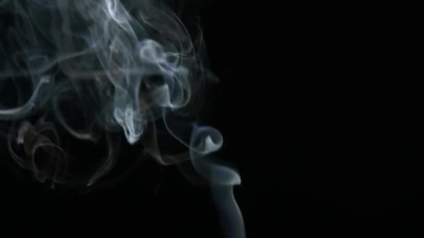 Weißer Rauch Von Räucherstäbchen Fließt Auf Schwarzem Hintergrund — Stockvideo