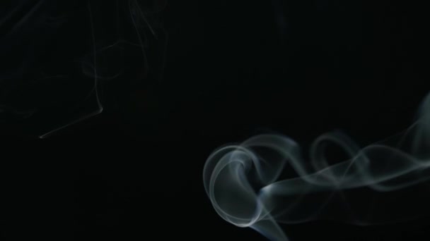 White Smoke Incense Stick Flowing Black Background — Stock Video