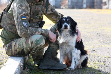 Güneşli bir günde başıboş köpeği olan Ukraynalı asker, yakın plan.