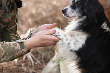 Sokak köpeği Ukraynalı askere patisini uzatıyor, yakın plan.