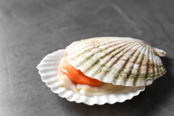 Fresh raw scallop with shell on grey table, closeup