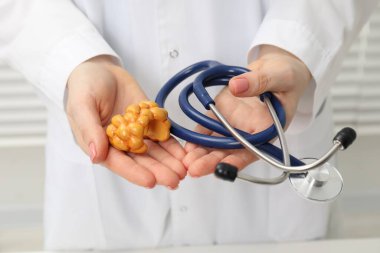 Endokrinolojist stetoskop ve tiroit bezinin modelini tutuyor, yakın plan.