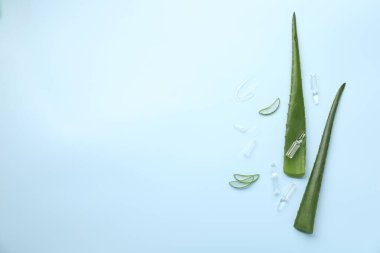 Açık mavi arkaplanda cilt bakımı ampulleri ve aloe yaprakları olan düz bir bileşim vardı. Metin için boşluk