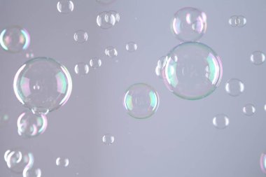 Gri arkaplanda güzel şeffaf sabun köpükleri