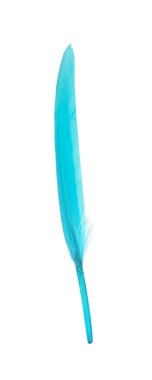 Beautiful light blue feather isolated on white