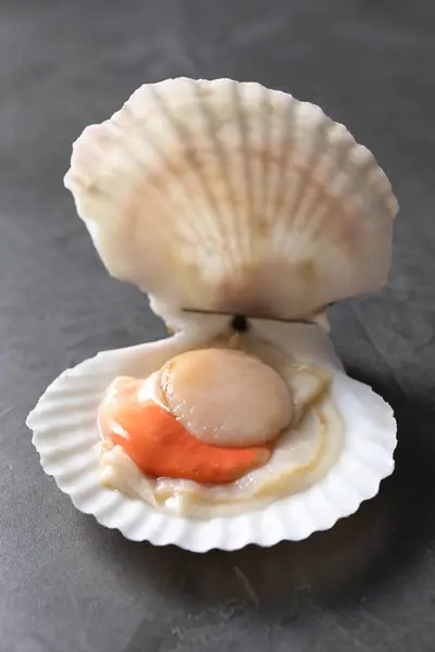Fresh raw scallop with shell on grey table, closeup