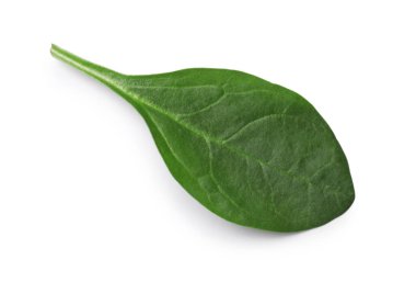 Bir taze ıspanak yaprağı beyaza izole edilmiş, üst manzara