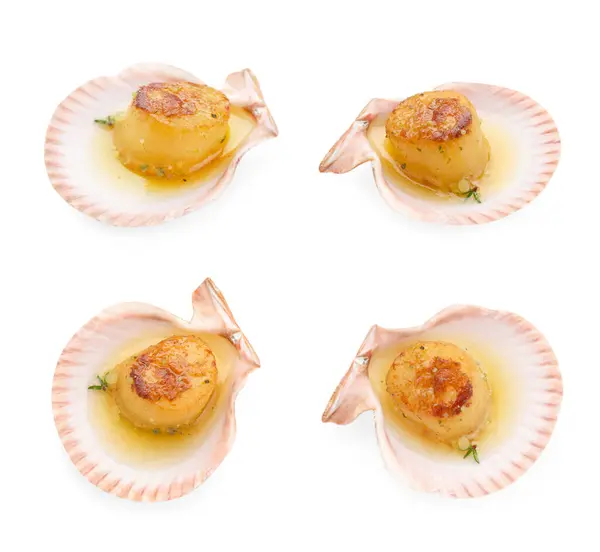Delicious fried scallops in shells isolated on white, top and side views