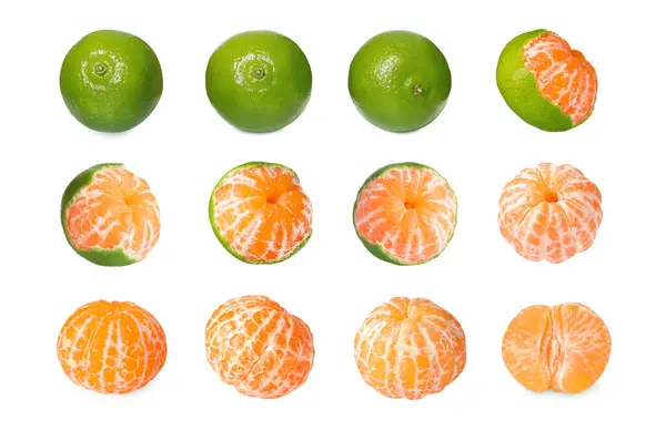 Fresh Ripe Tangerines Green Peel Isolated White Set — Stock Photo, Image