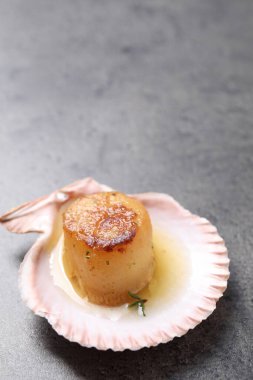 Gri masada kabuklu lezzetli kızarmış deniz tarağı, yakın plan.