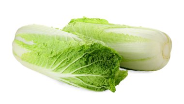 Taze taze Çin lahanaları beyaza izole edilmiş.