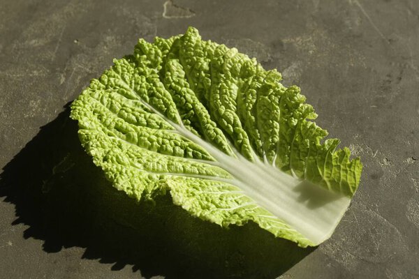 Fresh Chinese cabbage leaf on gray textured table