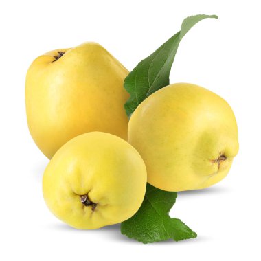 Lezzetli taze böğürtlenler ve beyaz yapraklar.