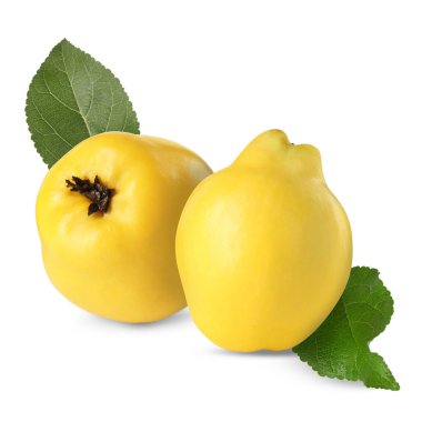 Lezzetli taze böğürtlenler ve beyaz yapraklar.