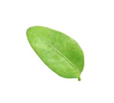 Bembeyaz yaban mersini yaprağı yaprağı