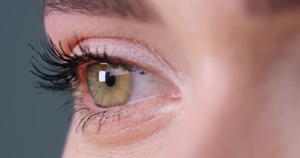 Žena Krásnýma Očima Šedém Pozadí Detailní Záběr Soustřeď Pravé Oko — Stock video