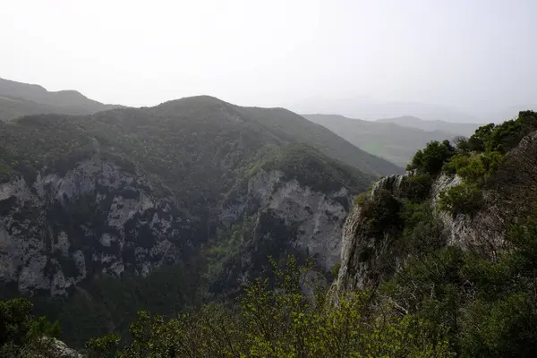 Malowniczy Widok Zielony Las Górach — Zdjęcie stockowe