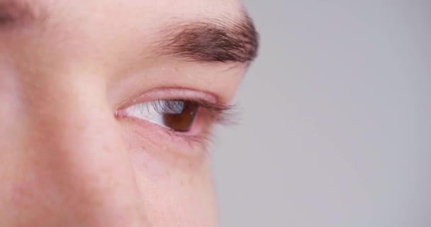 Young Man Brown Eyes Light Grey Background Closeup View Focus — Stock Video