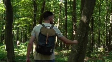 Doğayla birlik. Ormanda yürüyen ve ağaçlara dokunan adamı izleyen kamera.