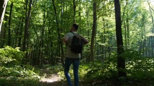 Єдність Природою Камера Після Людина Ходить Лісі Сонячний День Вид — стокове відео