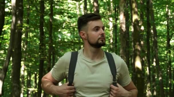 Unidad Con Naturaleza Hombre Caminando Tocando Árbol Bosque Clip De Vídeo