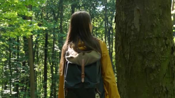 Unidad Con Naturaleza Cámara Seguimiento Después Mujer Caminando Tocando Árbol — Vídeo de stock