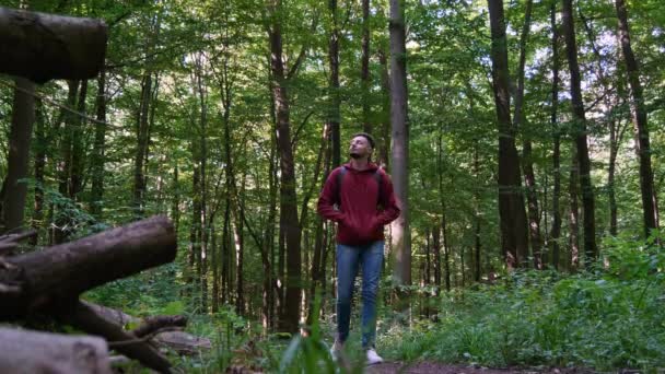 Enighet Med Naturen Man Njuter Promenad Skogen Låg Vinkel — Stockvideo