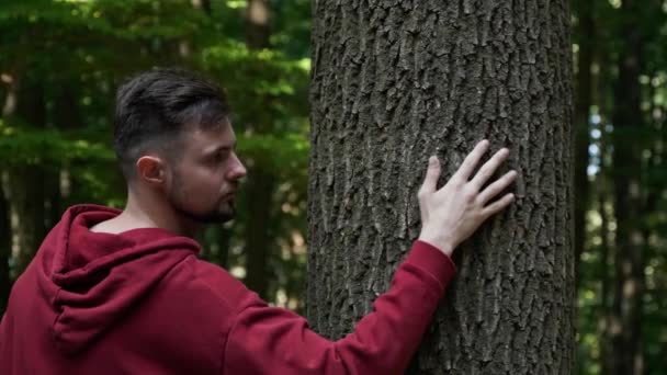 Unidad Con Naturaleza Cámara Siguiendo Después Hombre Tocando Árbol Bosque Clip De Vídeo