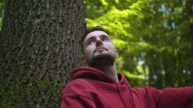 Doğayla birlik. Ormanda ağaçta oturan adam, alçak açı.