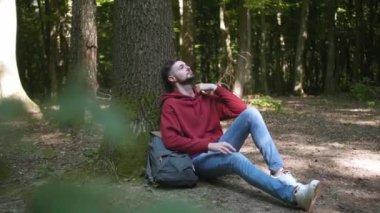 Doğayla birlik. Ormanda ağaçta oturan adam