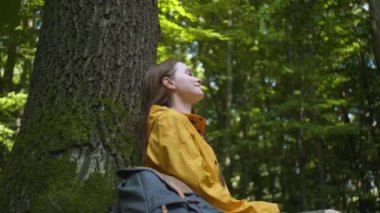 Doğayla birlik. Ormanda ağaçta oturan kadın, alçak açı.