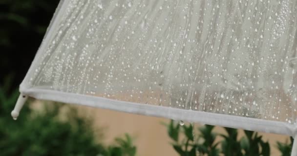 Superficie Paraguas Transparente Con Gotas Lluvia Aire Libre Vista Primer — Vídeos de Stock