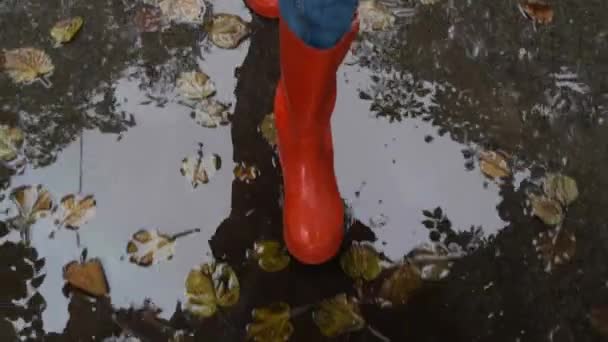 Woman Bright Orange Rain Boots Walking Puddles Outdoors Closeup View — Stock Video