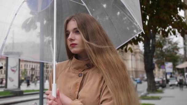 Junge Schöne Frau Mit Regenschirm Friert Während Sie Auf Jemanden — Stockvideo