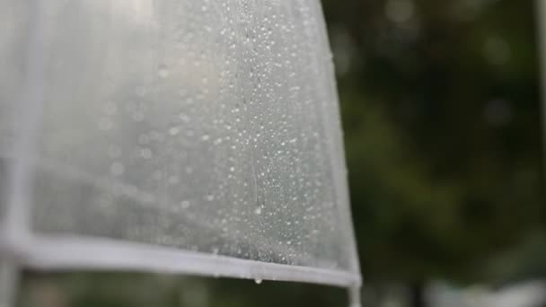 Oberfläche Eines Transparenten Schirms Mit Regentropfen Freien Nahaufnahme — Stockvideo