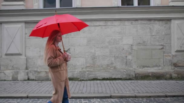 Junge Schöne Frau Mit Rotem Regenschirm Und Imbissgetränk Spaziert Durch — Stockvideo