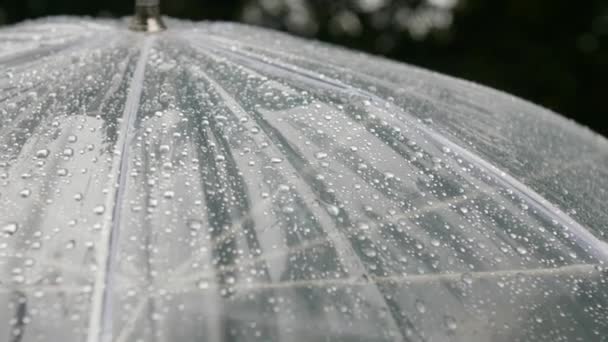 Oberfläche Eines Transparenten Schirms Mit Regentropfen Freien Nahaufnahme — Stockvideo