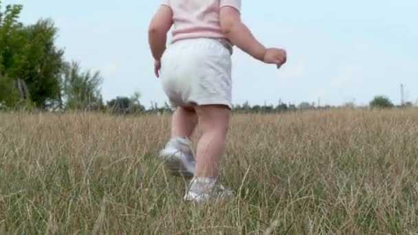 Little Baby Walking Field Closeup Camera Child Video Clip