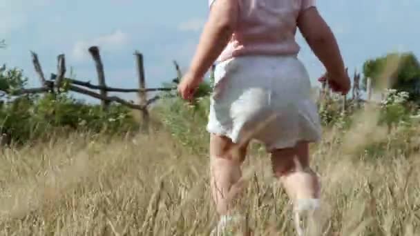 Маленька Дитина Ходить Полі Сонячний День Крупним Планом Камера Після — стокове відео