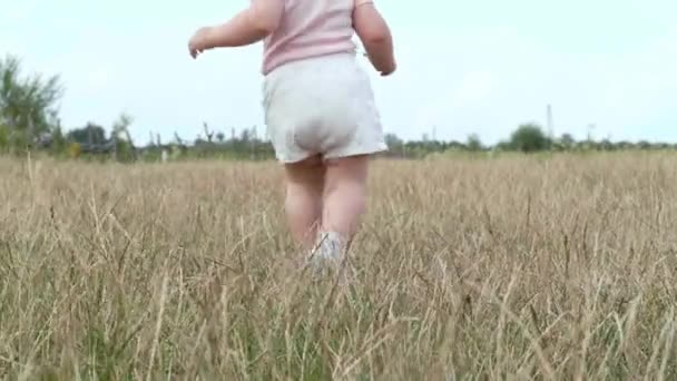 Küçük Bebek Tarlada Eğleniyor Yakından — Stok video