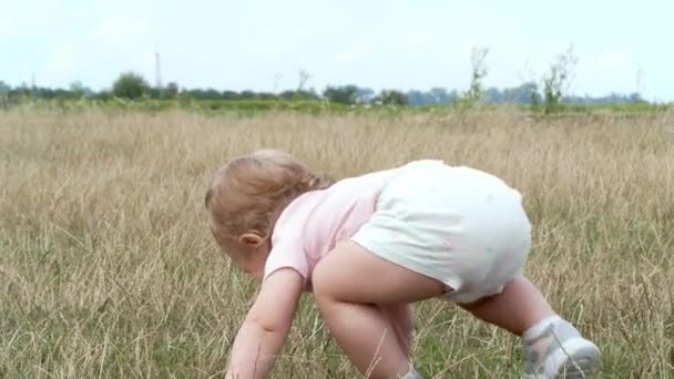 Küçük Bebek Tarlada Yürüyor Yakın Plan Kamera Çocuğu Takip Ediyor — Stok video