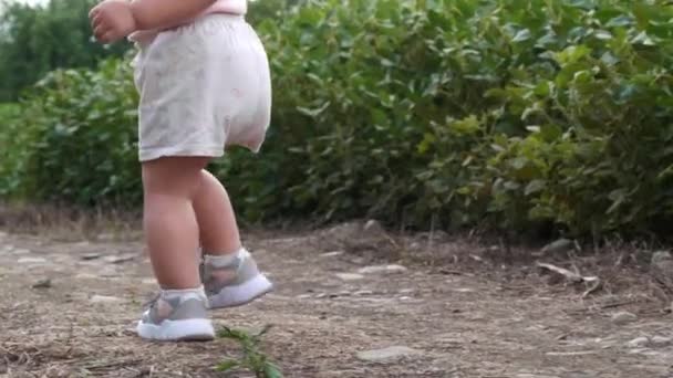 Küçük Bebek Dışarıda Yürüyor Yakın Plan Kamera Çocuğu Takip Ediyor — Stok video
