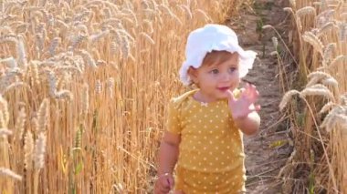 Güneşli bir günde buğday tarlasında yürüyen tatlı küçük kız.