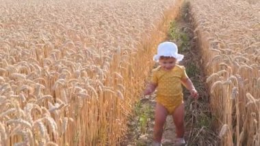 Güneşli bir günde buğday tarlasında yürüyen tatlı küçük kız.