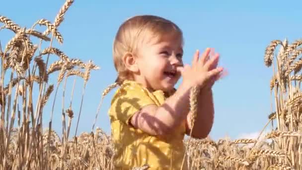 美丽的小女孩在阳光灿烂的日子里在麦田里拍手 — 图库视频影像