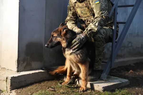 Ukrainian soldier with German shepherd dog sitting outdoors, closeup