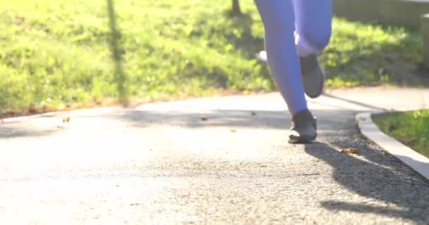 Жінка Світло Блакитному Спортивному Одязі Бігає Засвіченій Дорозі Вранці Відкритому — стокове відео