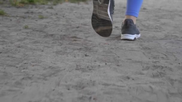 Γυναίκα Ανοιχτό Μπλε Αθλητικά Τρέξιμο Εξωτερικούς Χώρους Κάμερα Που Κινείται — Αρχείο Βίντεο