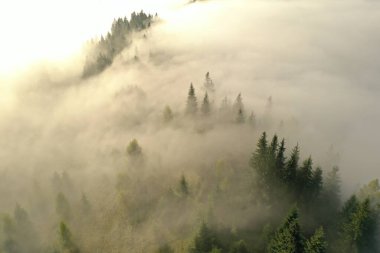 Sonbahar günü sisli ormanlı güzel manzaranın havadan görüntüsü.